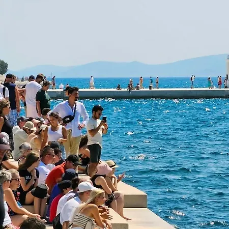 アパート Zadria New Center App *